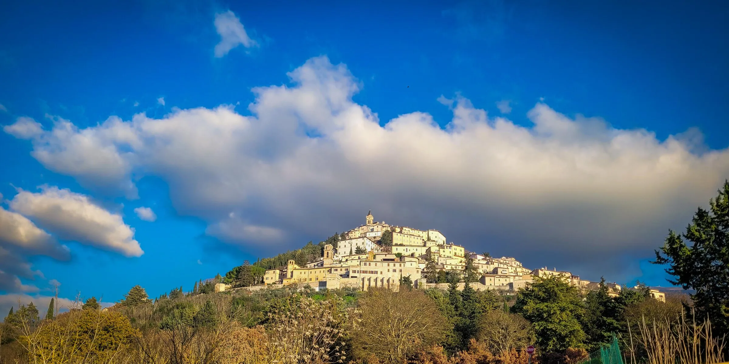 Il borgo di Trevi arroccato a spirale sul suo colle, circondato dagli uliveti dell'Umbria