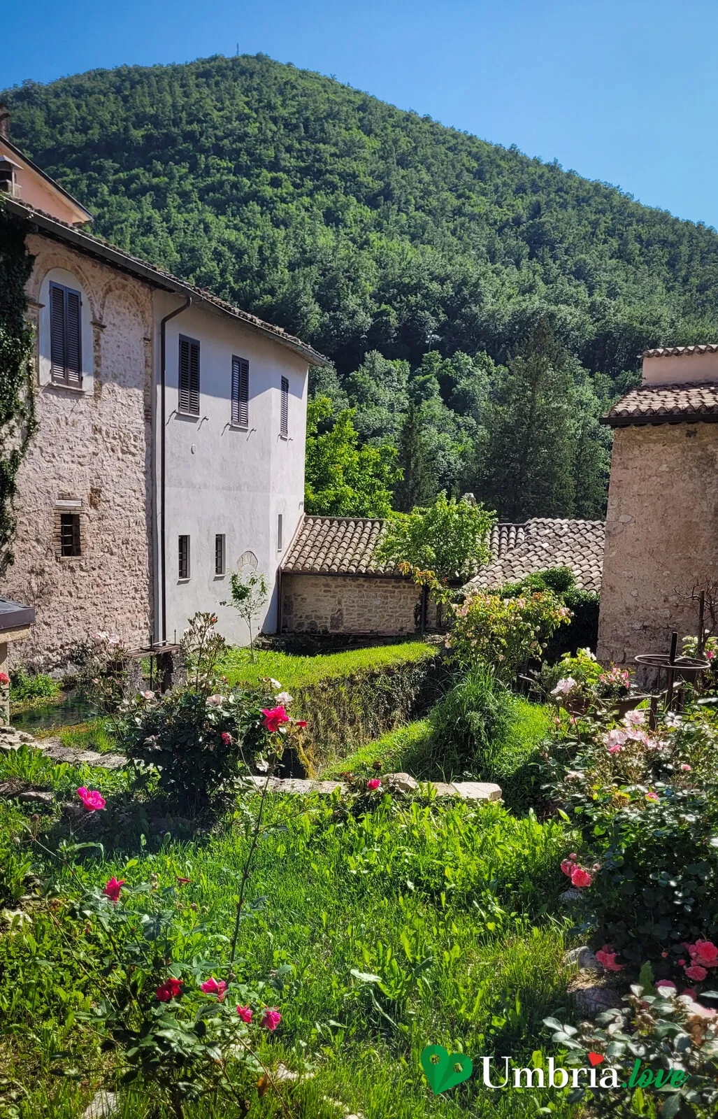 Le case di pietra di Rasiglia con le rose in primo piano e il monte boscoso alle spalle