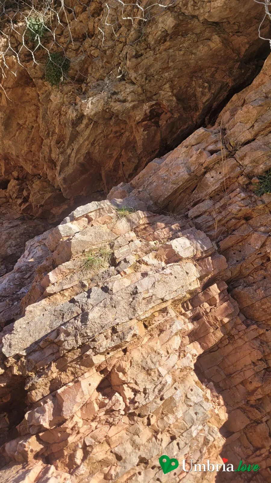 Le pareti di calcare stratificato della Gola del Bottaccione: banchi di roccia inclinati che registrano milioni di anni di depositi marini