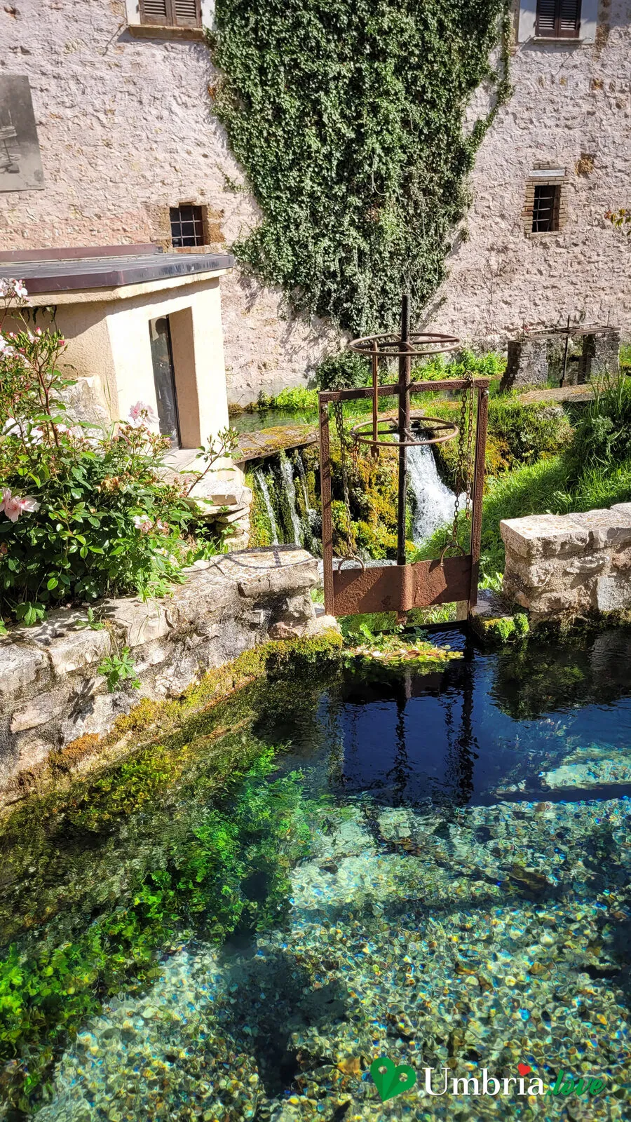 Un canale di Rasiglia con un alto cipresso, tra i muri in pietra e i giardini