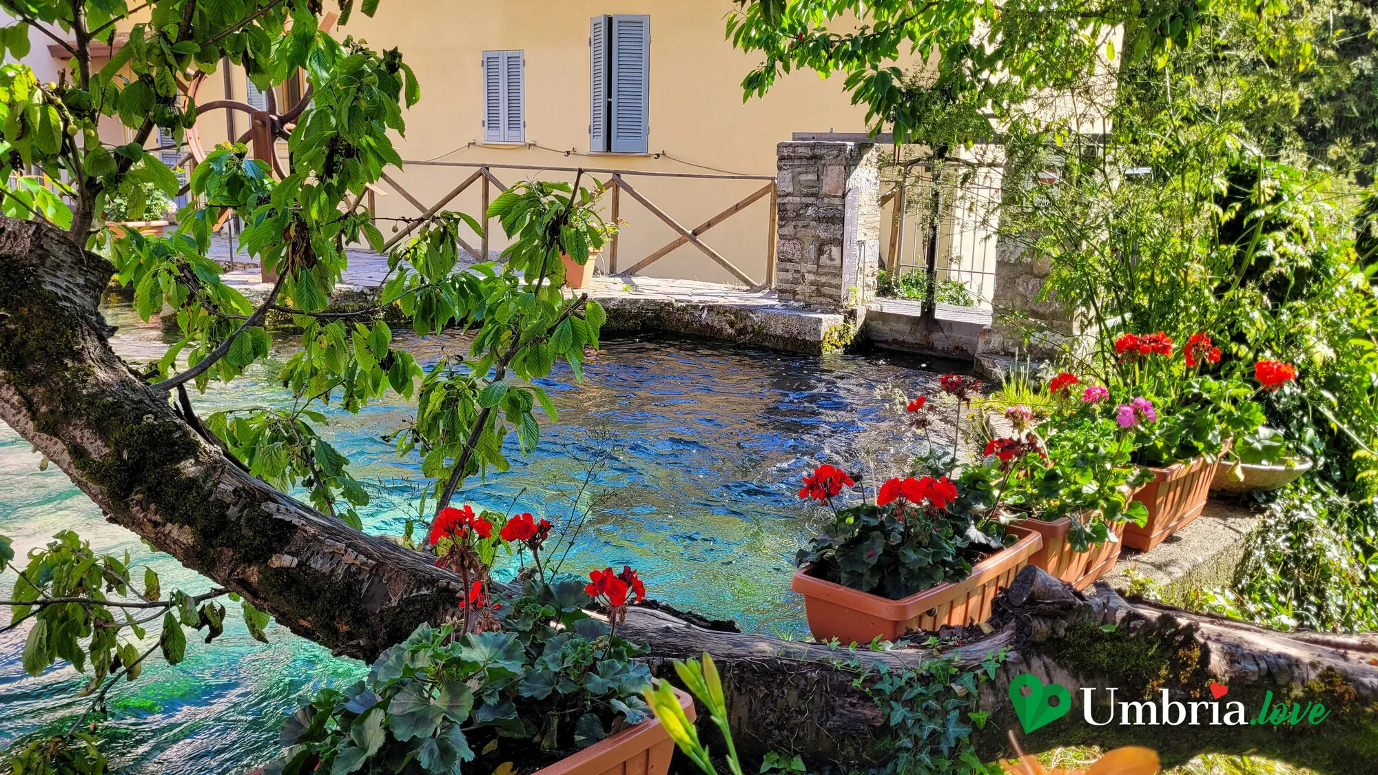 Il canale lungo una via di Rasiglia, con un ramo di fico e i gerani rossi sul muretto