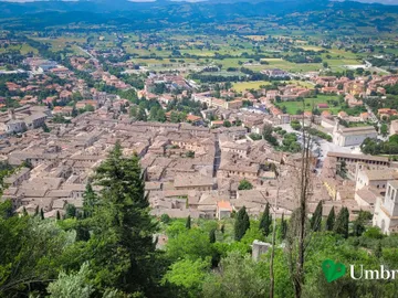 Gubbio vista dall'alto: il centro storico di pietra grigia che sale in file di tetti sul fianco del Monte Ingino, con la torre del Palazzo dei Consoli al centro e la pianura eugubina sullo sfondo