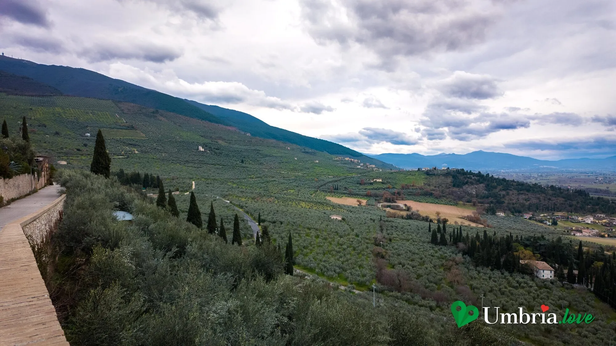 Un sentiero tra gli uliveti terrazzati sotto Trevi, con un cipresso e la valle sullo sfondo