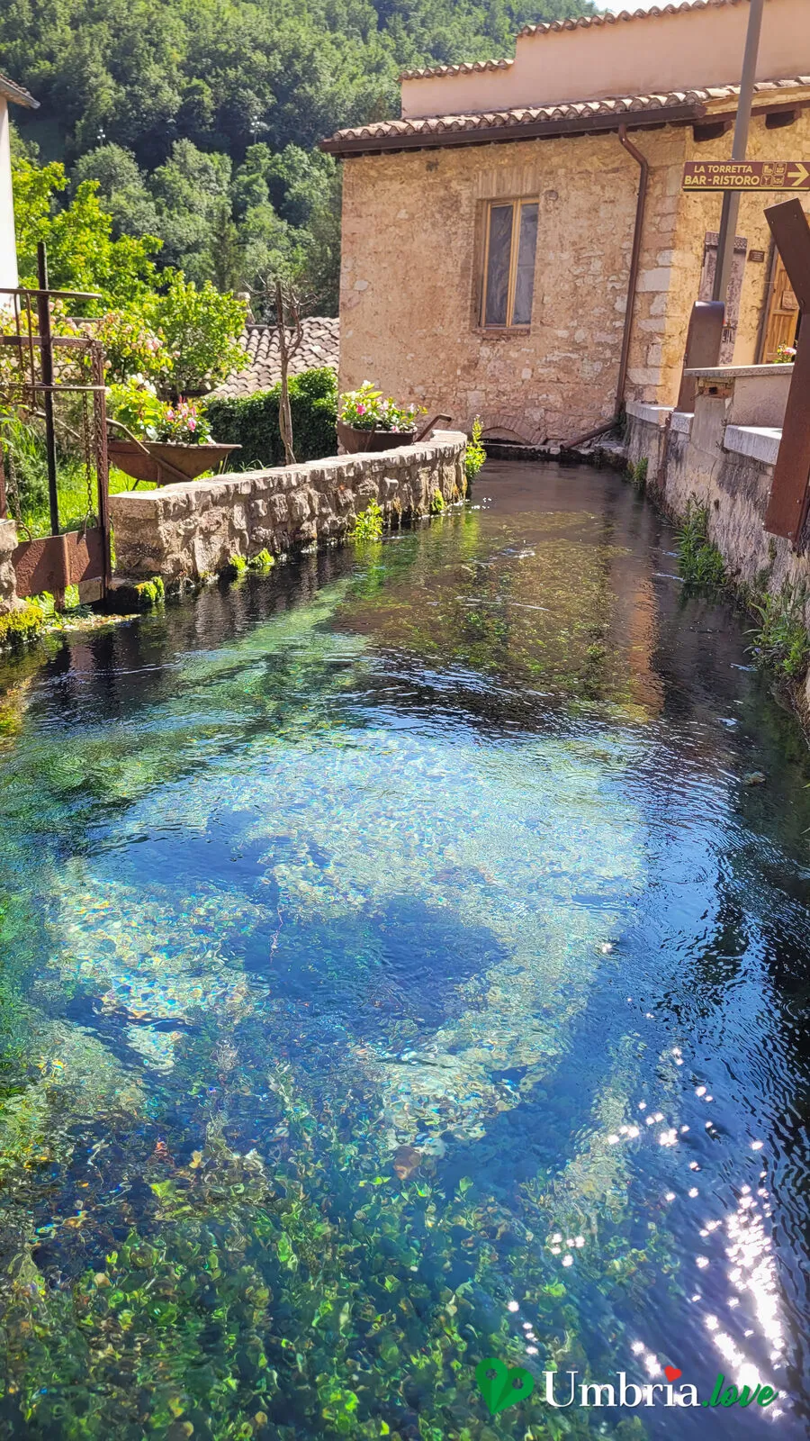 Le case di Rasiglia riflesse in una vasca d'acqua chiarissima, con le piante acquatiche mosse dalla corrente