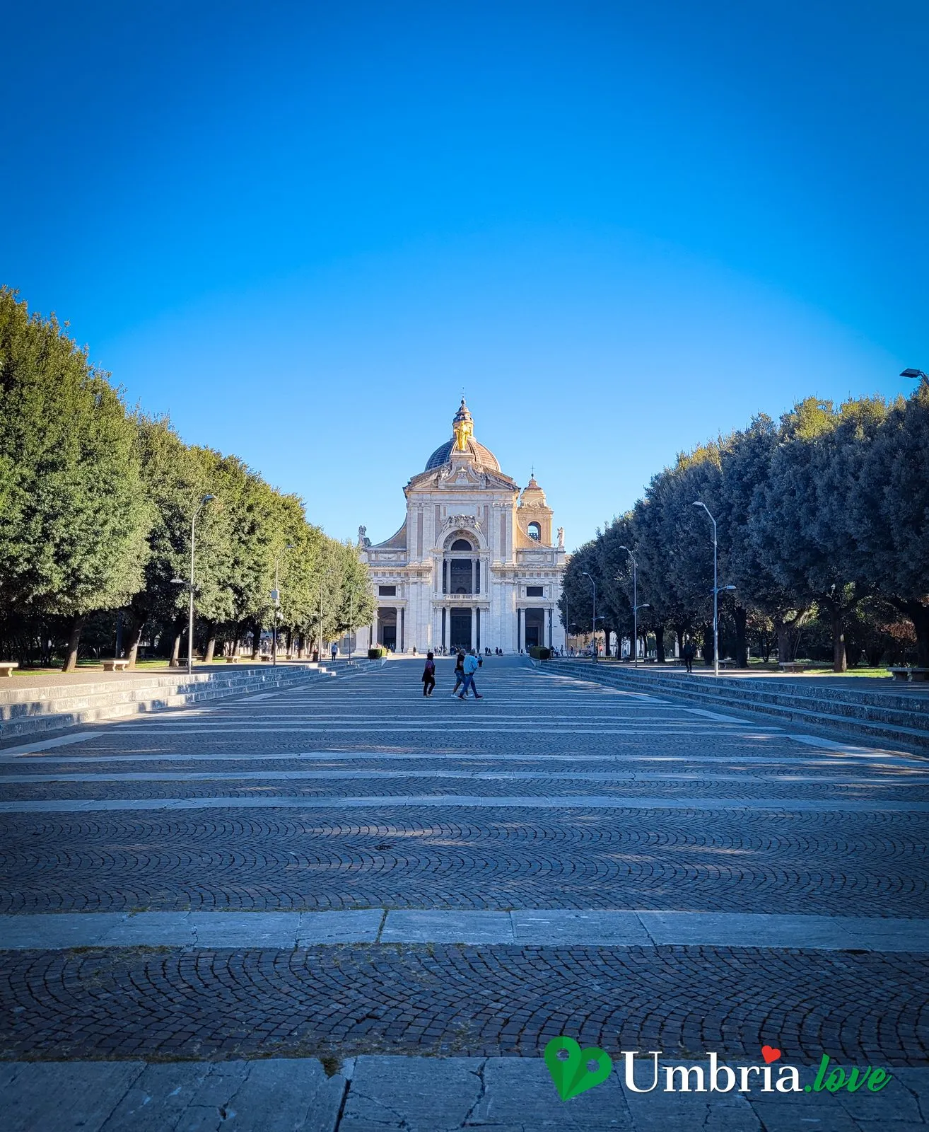 Il lungo viale alberato che dalla stazione porta alla Basilica di Santa Maria degli Angeli ad Assisi