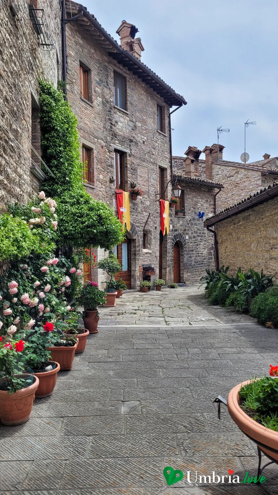 Un vicolo a gradini di Gubbio, fiorito di rose, tra le case in pietra grigia